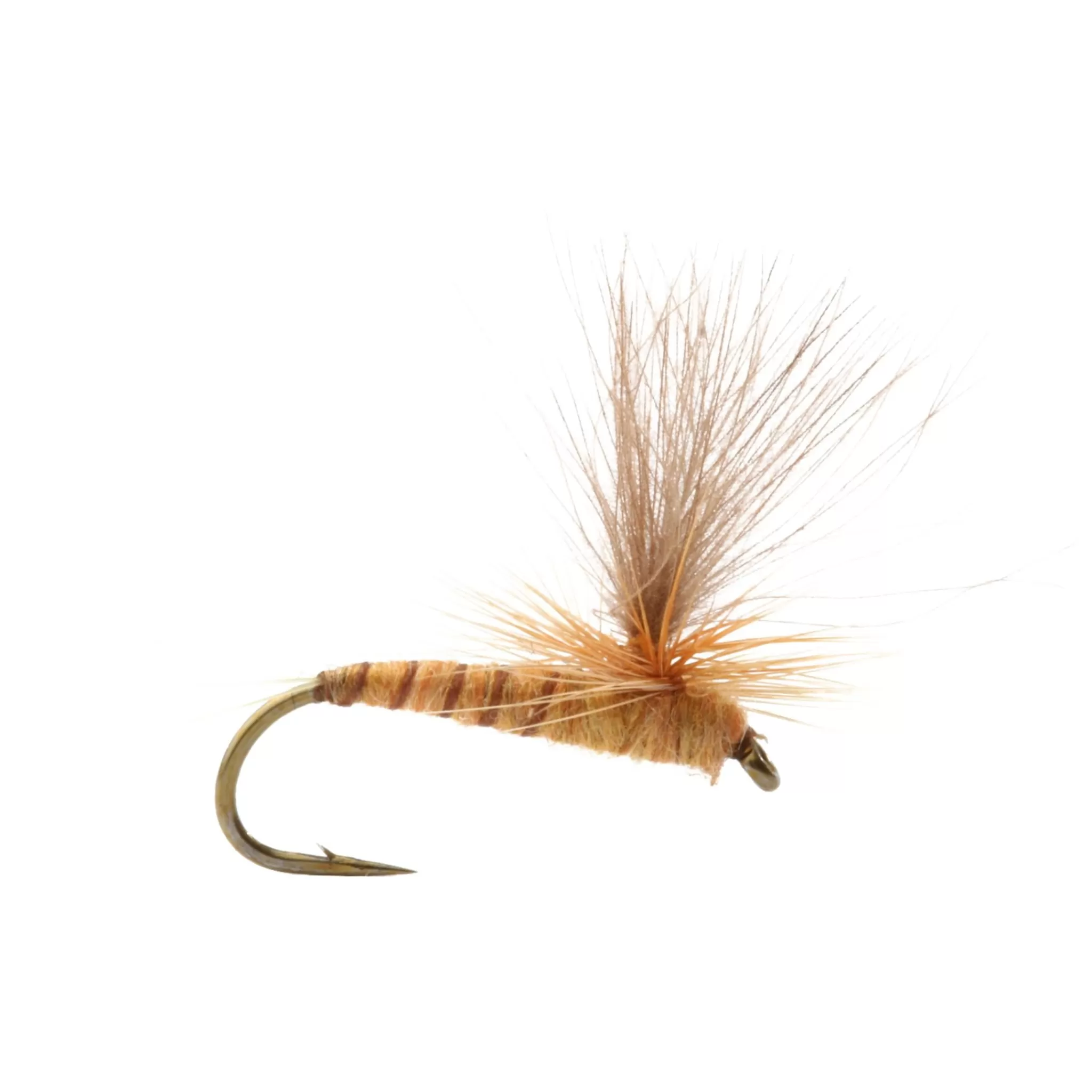 Flash Sale umpqua Aurivillii - 14