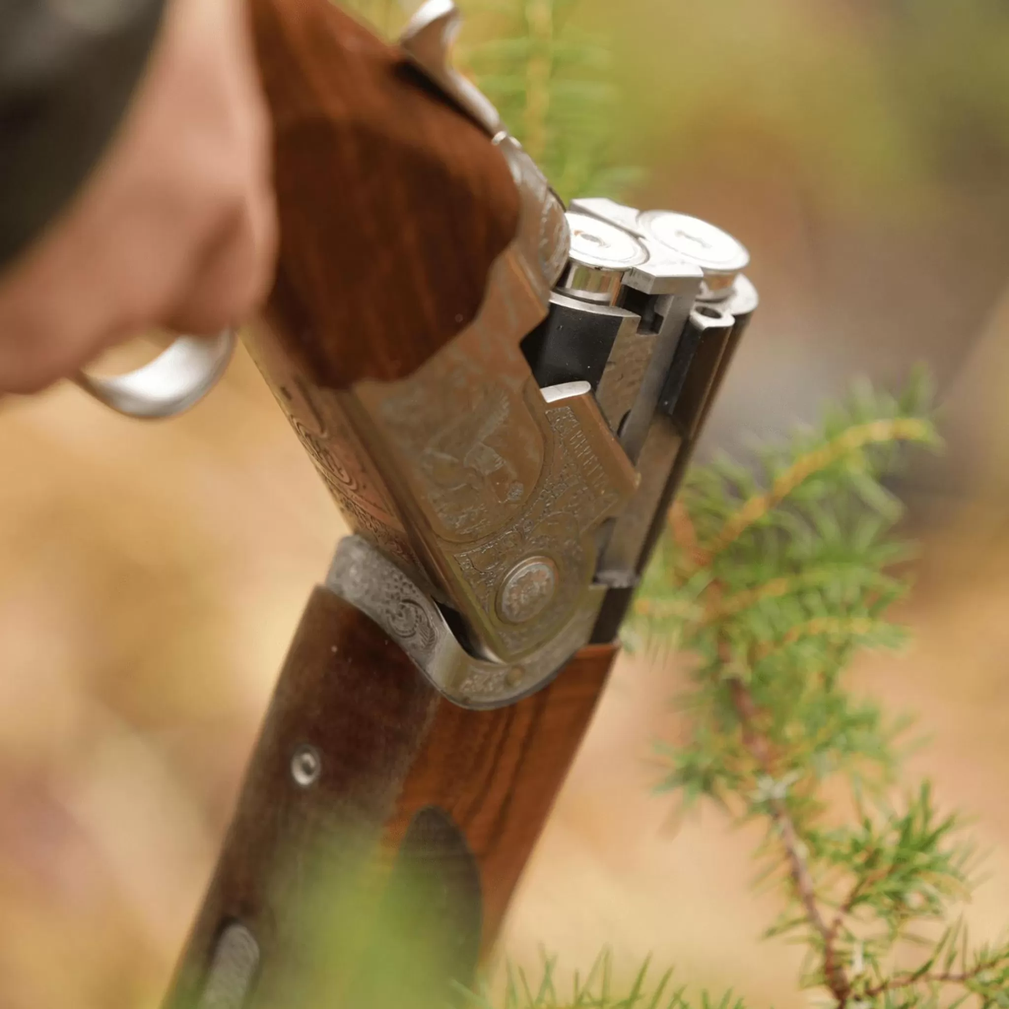 Sale Beretta 687 Silver Pigeon Iii My20, 12-76 71 Rh, Hagle