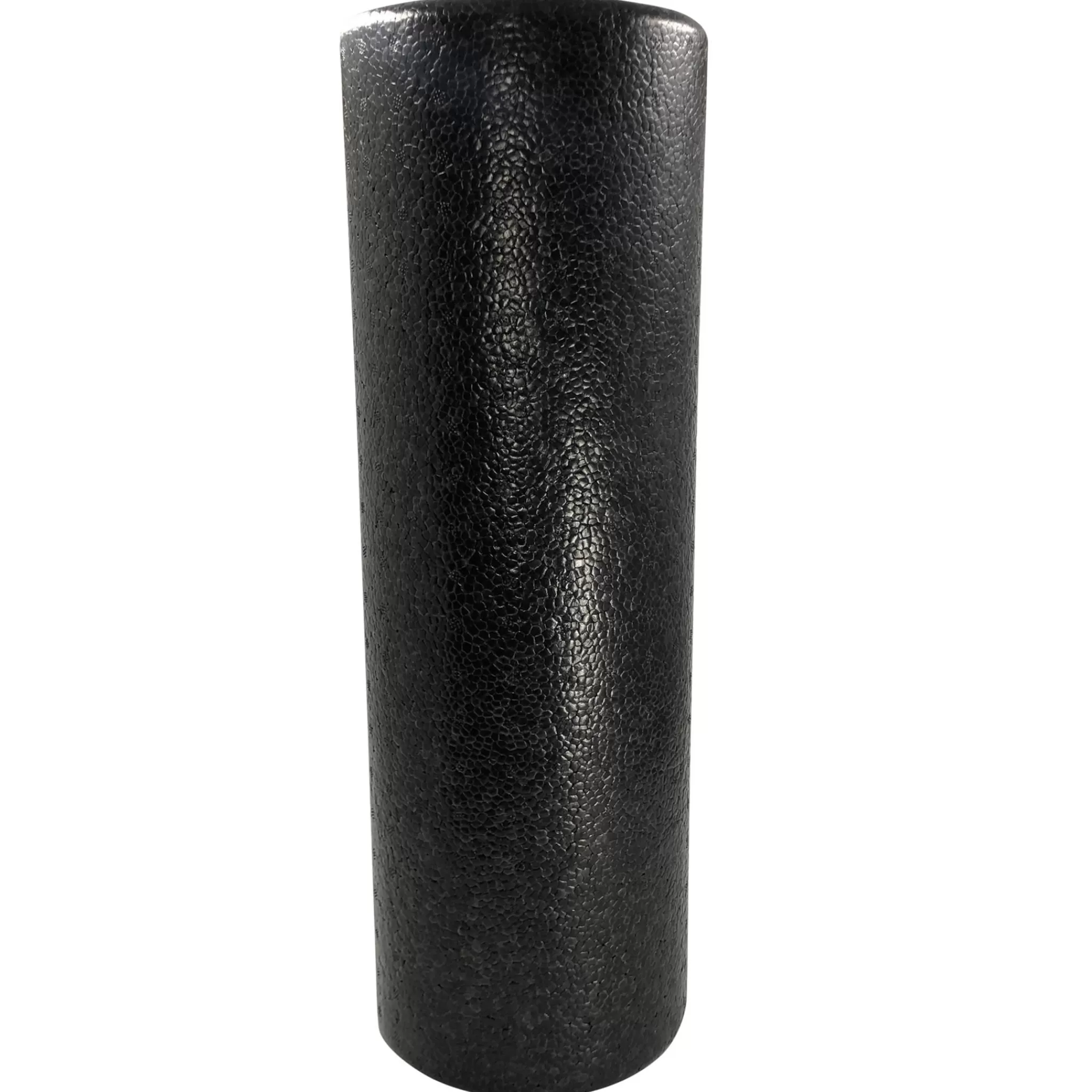 Shop TITAN LIFE Foam Roller, Foam Roller