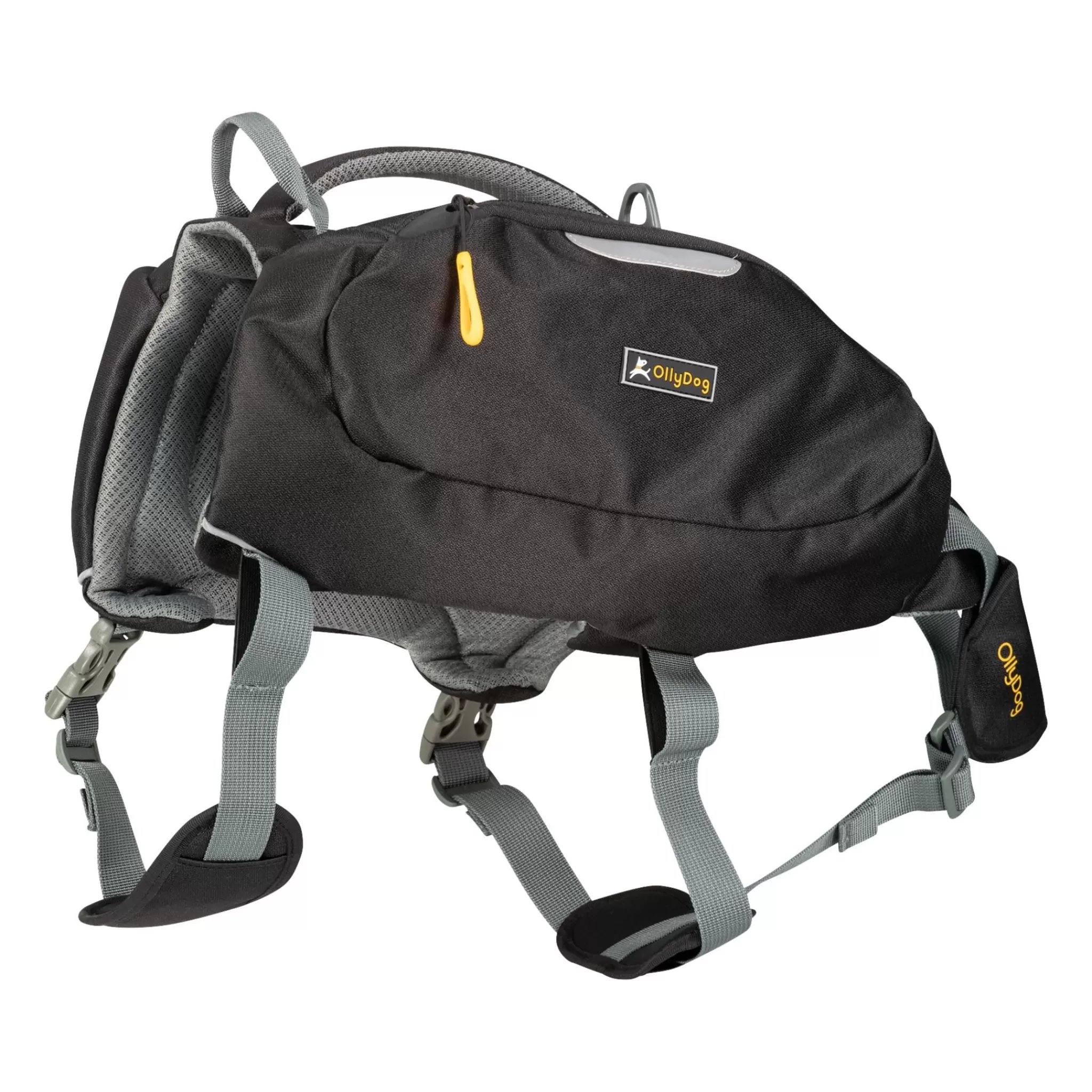 Best Sale OllyDog Rover Dog Pack Raven, Hundesekk