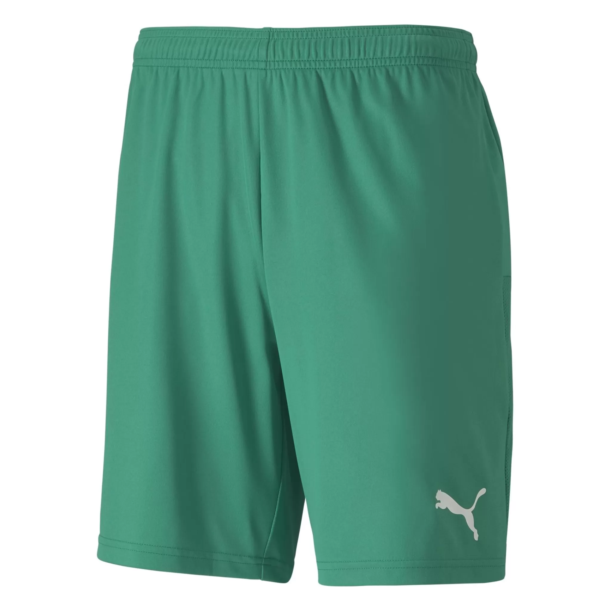 Cheap puma Teamgoal 23 Knit Shorts, Shorts Herre