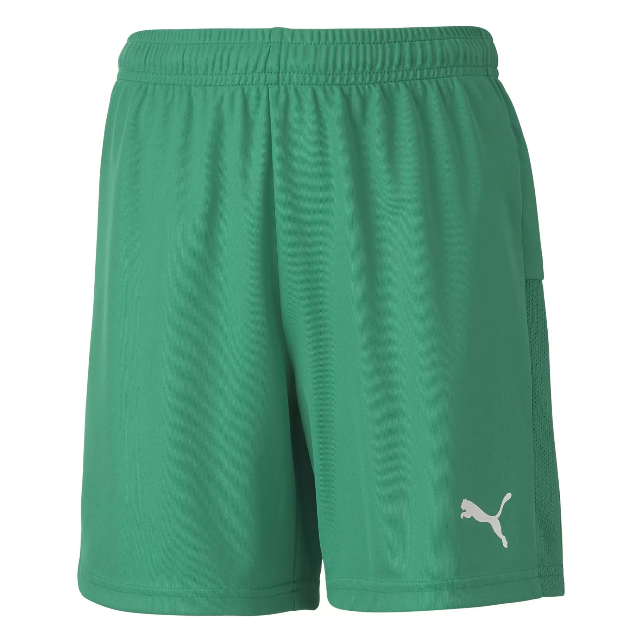 Shop puma Teamgoal 23 Knit Shorts, Shorts Junior
