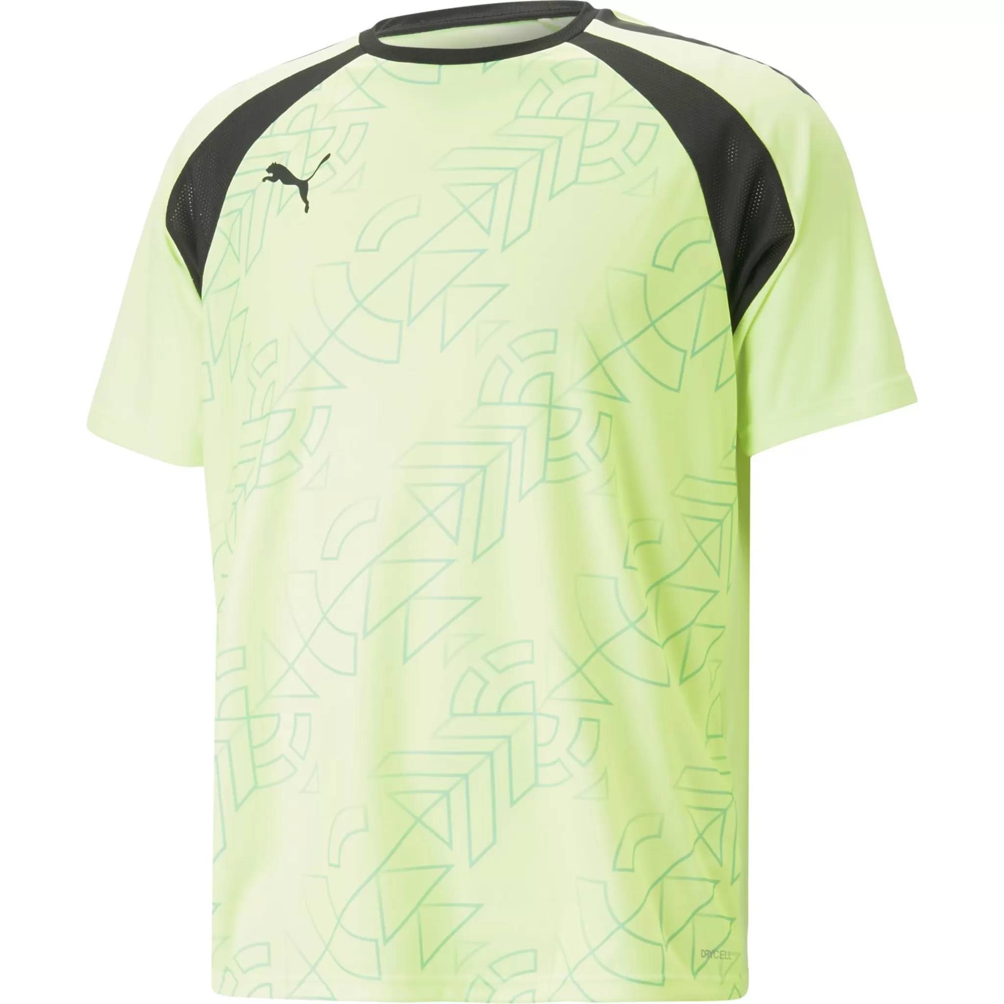 Shop puma Teamliga Graphic Jersey, T-Skjorte, Herre