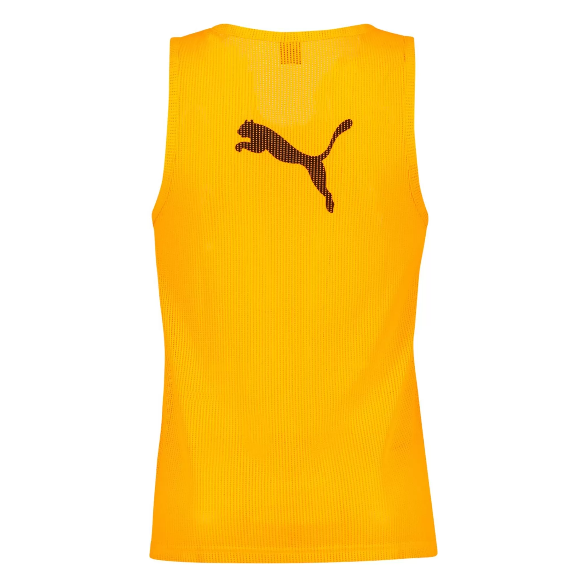 Best puma Training Bib, Fotballtroye, Senior