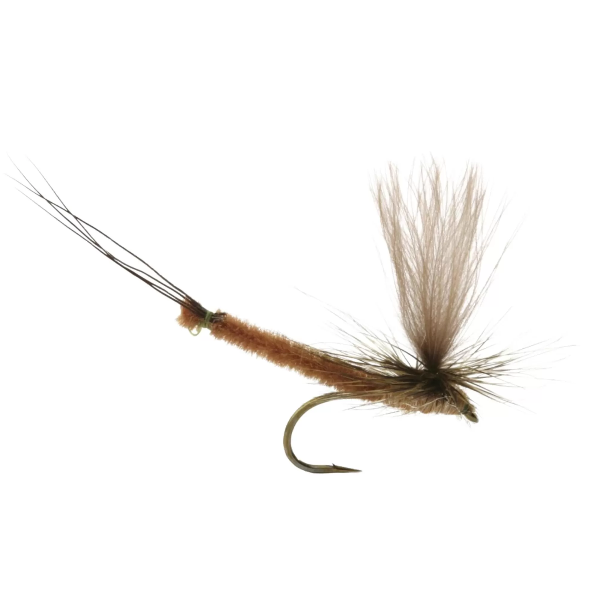 Online umpqua Vulgata Dun- 10